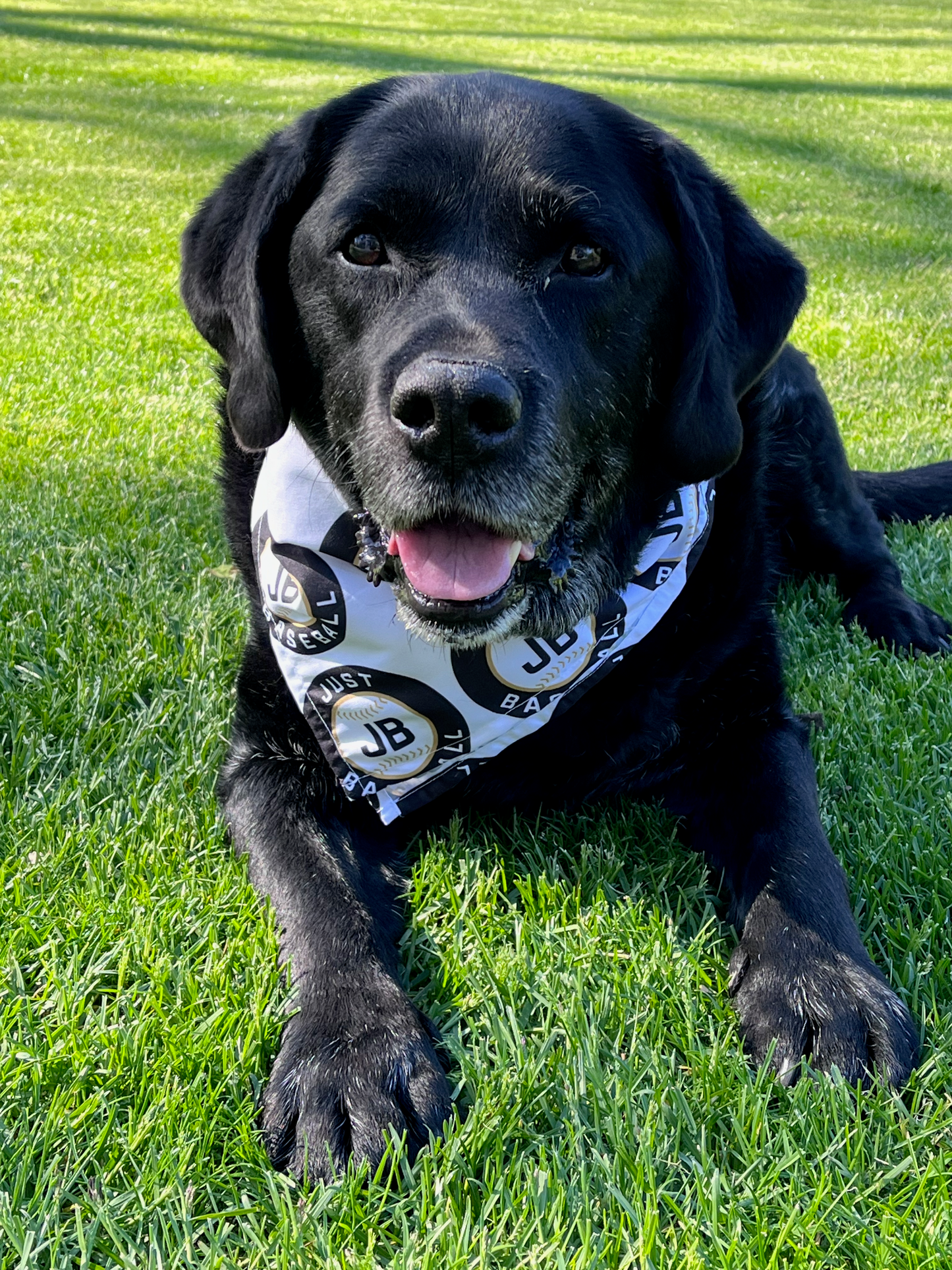 Just Baseball Dog Bandana