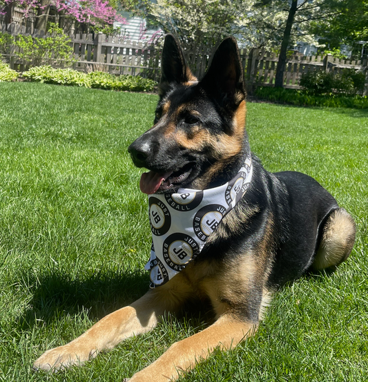 Just Baseball Dog Bandana